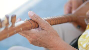 Engaging performance with string instrument on a sunny day video