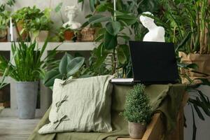 A black laptop in the room. A fragment of the interior with a variety of indoor plants and plaster sculptures. Urban jungle concept. photo
