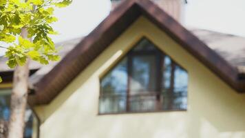 Green leaves on a branch of a young oak on the background of a house with a brown window on a sunny day video