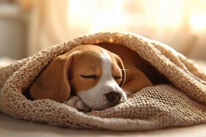 A sleepy beagle puppy snuggled in a soft blanket, warm lighting, ultra realistic fur, cozy home scene photo