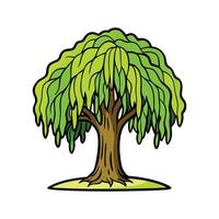 Charming Willow Tree Illustration. Cartoon Art Tree Illustration. vector