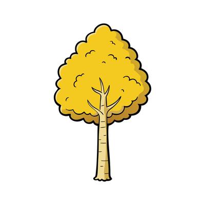 Realistic Yellow Birch Tree Bold Outline . Cartoon Art Tree Illustration.