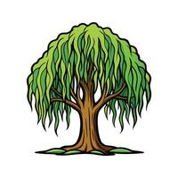 Stylized Willow Tree Artwork. Cartoon Art Tree Illustration. vector