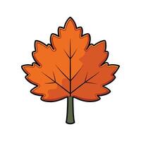 Outline of Big Leaf Maple Tree. Cartoon Art Tree Illustration. vector