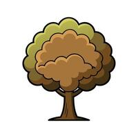 Outline Design of Black Walnut Tree. Cartoon Art Tree Illustration. vector