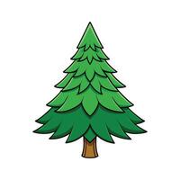 Outline Design of Bunya Pine Tree. Cartoon Art Tree Illustration. vector