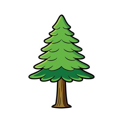 Outline Design of Casuarina Tree. Cartoon Art Tree Illustration.