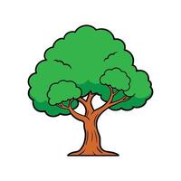 Design of Chinese Hackberry Tree. Cartoon Art Tree Illustration. vector