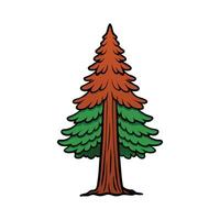 Elegant Coast Redwood Tree Design Outline. Cartoon Art Tree Illustration. vector