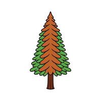 Dawn Redwood Tree Bold Outline Unique Design. Cartoon Art Tree Illustration. vector