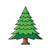 Stylish Outline Illustration of Fraser Fir Tree. Cartoon Art Tree Illustration. vector