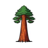 Artistic Outline of Giant Sequoia Tree. Cartoon Art Tree Illustration. vector