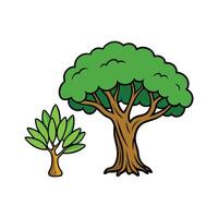 Olive Tree and Indian Banyan Tree Bold Outline . Cartoon Art Tree Illustration Design vector