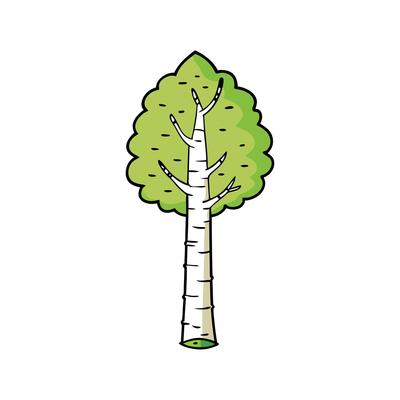 Unique Outline of Paper Birch Tree. Cartoon Art Tree Illustration.