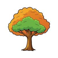American Beech Tree Bold Outline Design. Cartoon Art Tree Illustration. vector