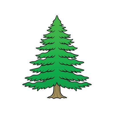 Creative Design of Eastern White Cedar Tree. Cartoon Art Tree Illustration.