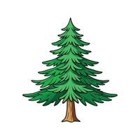 Stylized Outline of Eastern Hemlock Tree. Cartoon Art Tree Illustration. vector