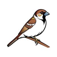 Sparrow on Branch Illustration. Cartoon Art Tree Illustration. vector