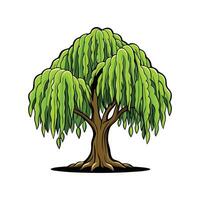 Artful Willow Tree Design. Cartoon Art Tree Illustration. vector