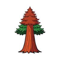 Redwood Tree Artistic Design. Cartoon Art Tree Illustration. vector