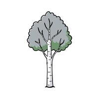 Elegant Silver Birch Tree Design. Cartoon Art Tree Illustration. vector
