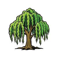 Weeping Willow Tree Artistic Design. Cartoon Art Tree Illustration. vector