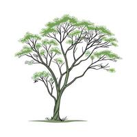 a tree with leaves and green leaves on it vector
