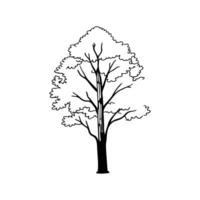 White Poplar Tree Artistic Design vector