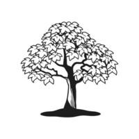 Vivid White Mulberry Tree Design vector