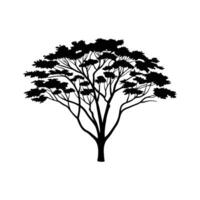 Stylized Acacia Tree Outline Illustration vector