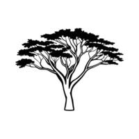 Acacia Tree Bold Outline Design vector