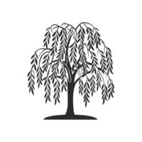 Charming Willow Tree Illustration vector