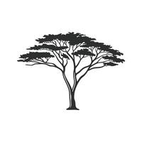 Abstract Acacia Tree Outline Art vector