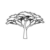 Stylized Outline of Mahogany Tree Design vector