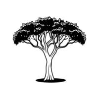 Artistic Outline Design of African Olive Tree vector