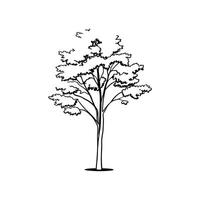 Alder Tree Bold Outline Design vector