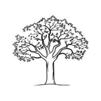 Bold Outline of Hornbeam Tree vector