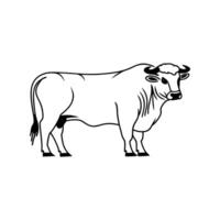 Outline of Angus Bull Design vector
