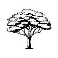 Stylish Outline of American Hornbeam Tree vector