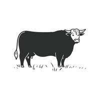 Artistic Angus Bull Outline Design. vector