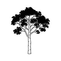 Stylized Aspen Tree Outline Illustration vector