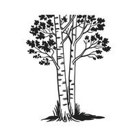 Bold Outline of Aspen Tree vector