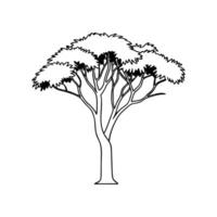 Artistic Eucalyptus Tree Outline Design vector
