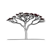 Outline of Australian Flame Tree vector
