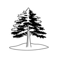 Outline Design of Austrian Pine Tree vector