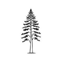 Stylized Outline of Austrian Pine Tree vector
