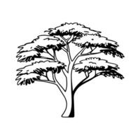 Bold Outline Illustration of Balsa Tree vector