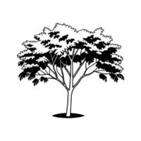 Stylized Outline of Balsa Tree vector