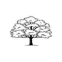 Stylized Outline of Big Leaf Maple Tree vector
