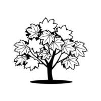 Outline of Big Leaf Maple Tree vector